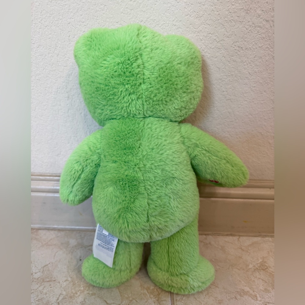 Build-A-Bear Spring Green Frog - Picture 5 of 5